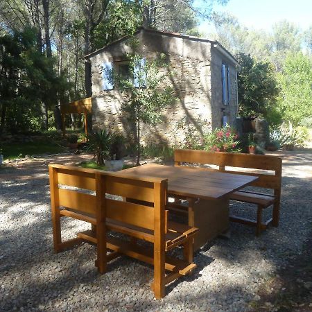 Villa Les Oliviers Draguignan Zewnętrze zdjęcie